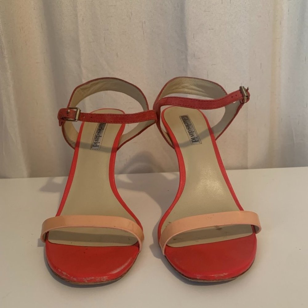 Charles David Color Block Sandals